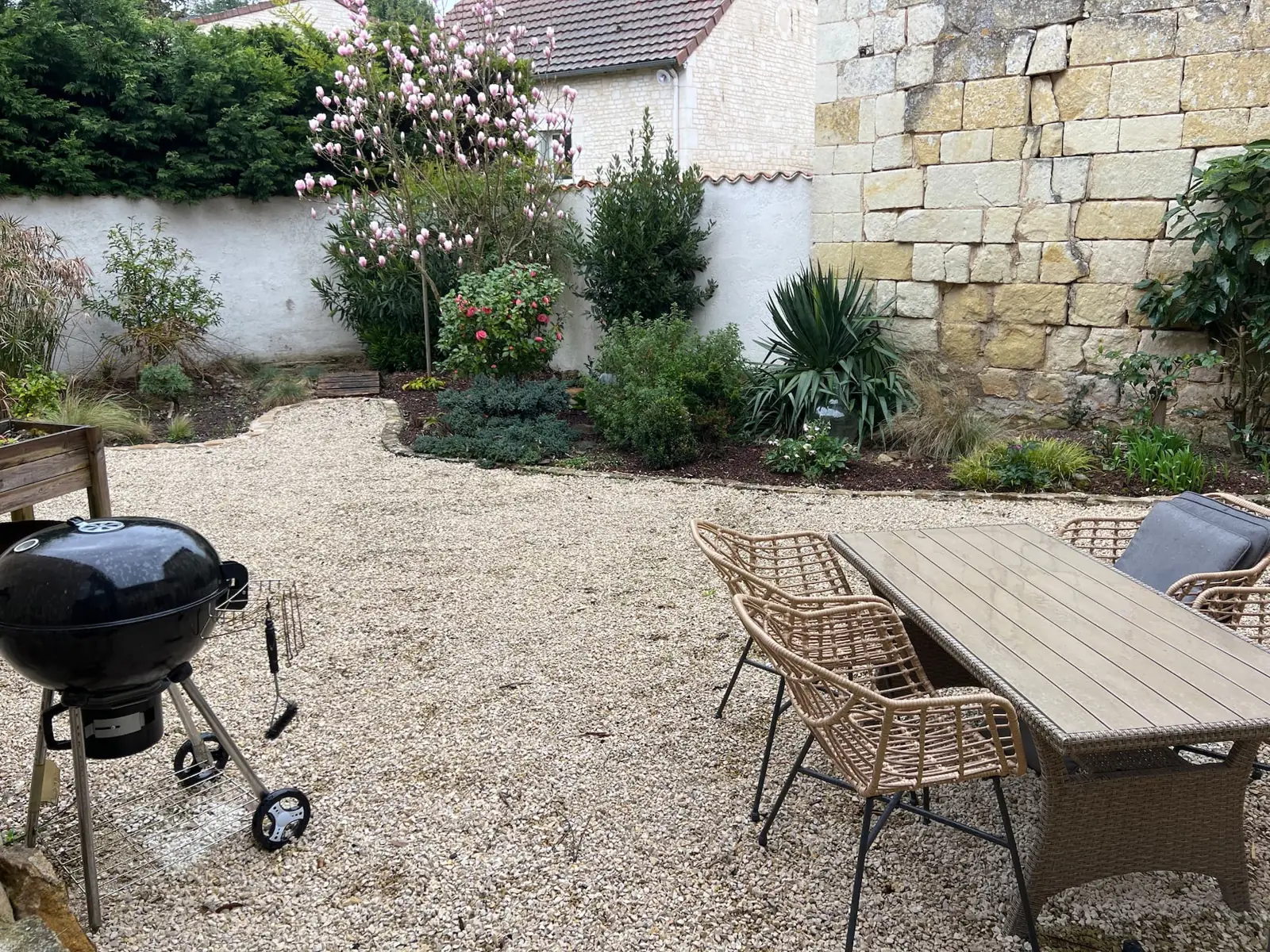 La terrasse gravillonnée avec table, fauteuils en rotin et barbecue, devant un magnolia en fleurs et un mur en pierre.